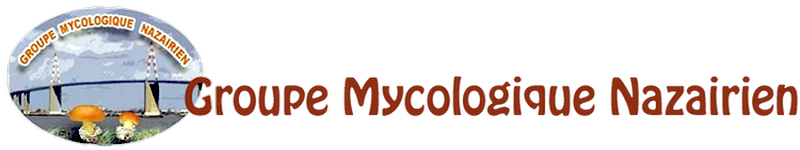 Groupe Mycologique Nazairien